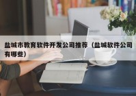 盐城市教育软件开发公司推荐（盐城软件公司有哪些）