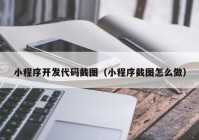 小程序开发代码截图（小程序截图怎么做）