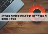 软件开发大学需要学什么专业（软件开发在大学是什么专业）